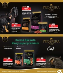 Czas złotych promocji! - Kakadu