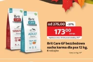 Karma dla psa Brit Care