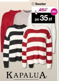 Sweter