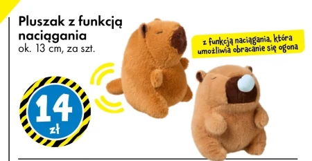 Плюш Ok.