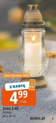 Znicz Amikus