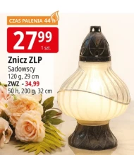 Znicz Sadowscy
