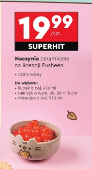 Ceramika kuchenna Pusheen