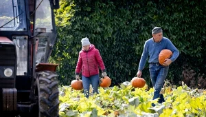 Rolnicy mają dosyć, stawiają ultimatum. "Dajemy ministrowi ostatnią szansę"