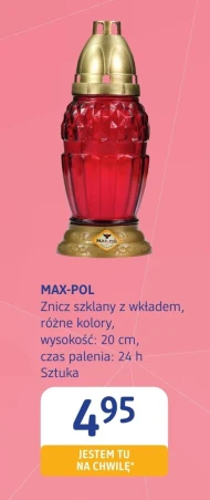 Znicz Maxpol