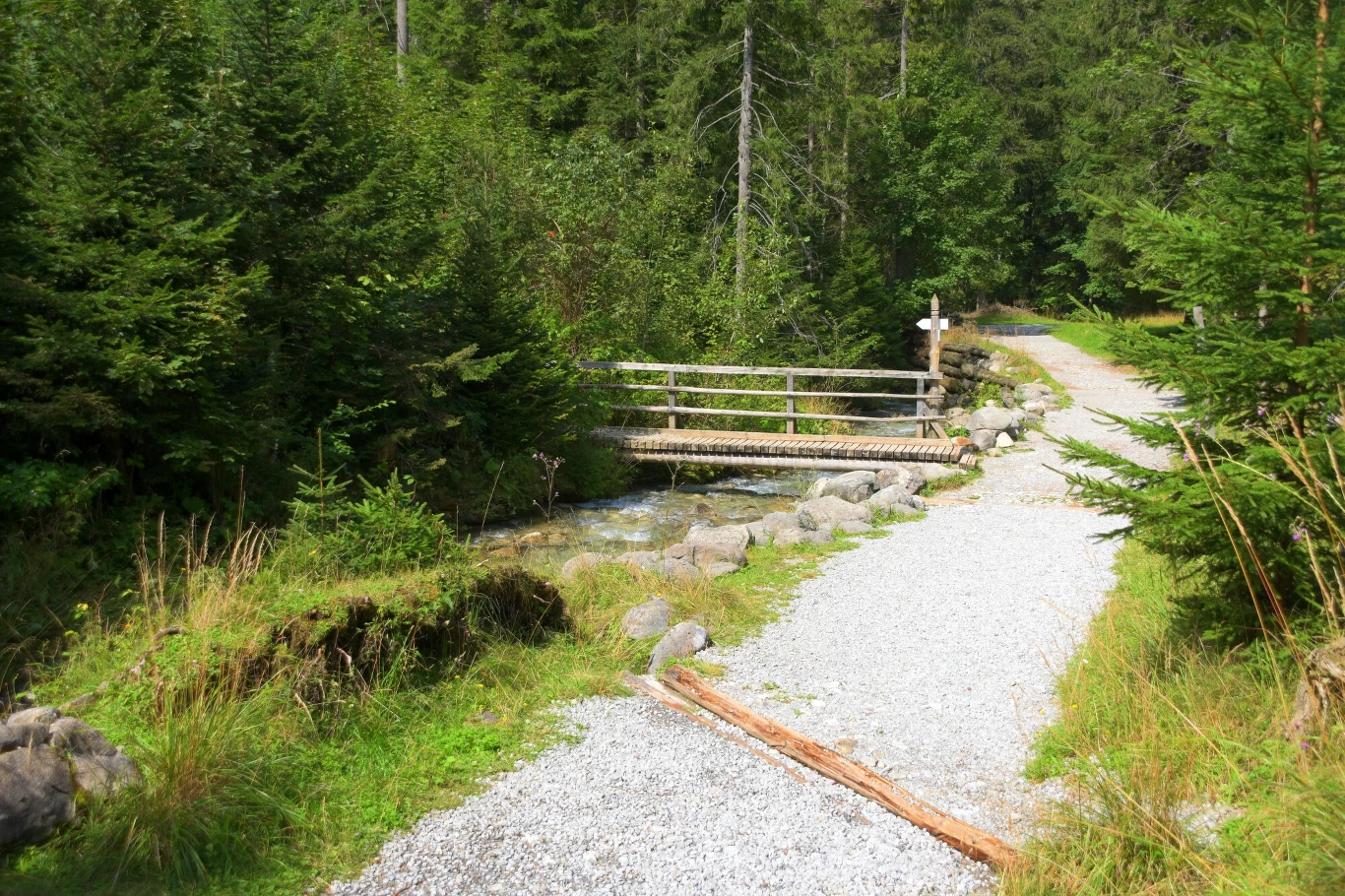 Tatrzański Park Narodowy zdecydował o czasowym zamknięciu Ścieżki nad Reglami. Tatrzański Park Narodowy zdecydował o czasowym zamknięciu Ścieżki nad Reglami.