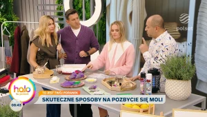 Jak się pozbyć moli odzieżowych? Eksperci zdradzają najlepszy sposób