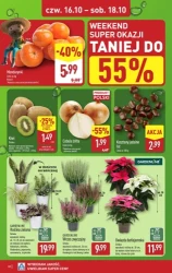 Tygodniowe perełki w koszyku – Aldi