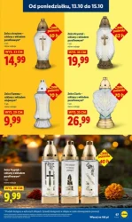 Zakupy pełne oszczędności - Lidl