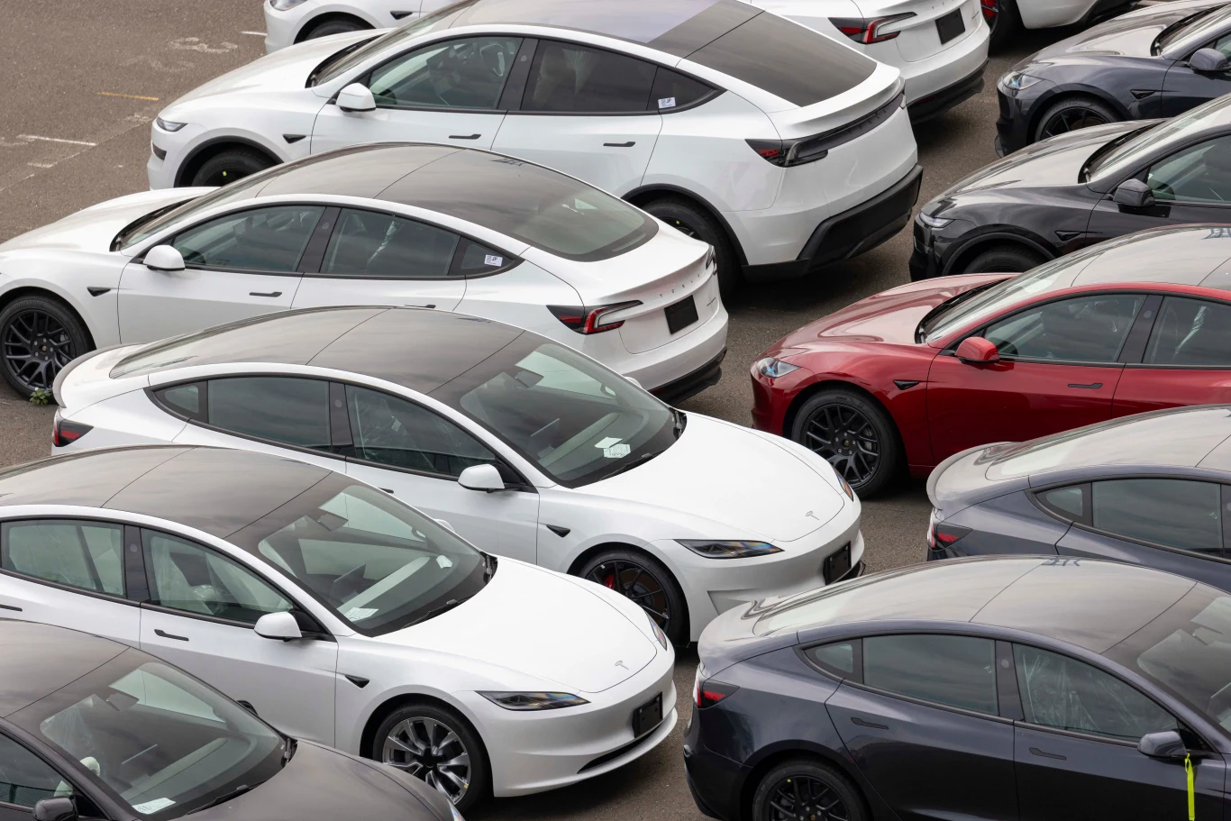 System FSD w Teslach może nie działać prawidłowo Szereg zaparkowanych samochodów elektrycznych marki Tesla w różnych kolorach, ustawionych blisko siebie na parkingu.