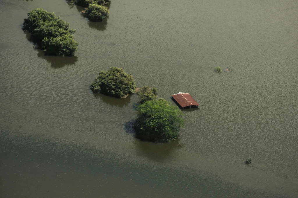 Ujęcie terenu zalanego wodą, gdzie widoczne są zatopione drzewa, krzewy oraz dach budynku wystający ponad powierzchnię wody