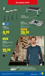 Wszystko, czego teraz potrzebujesz - Lidl