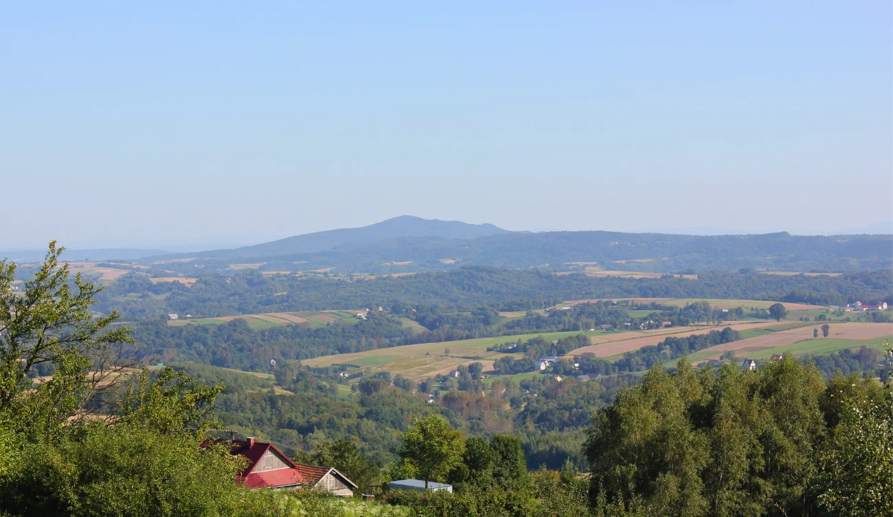 Gdzie jest Liwocz? Gdzie jest Liwocz?