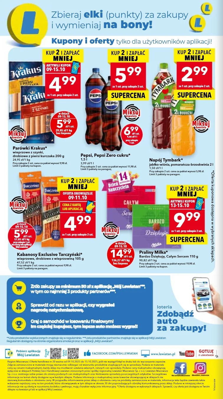 leaflet page preview image