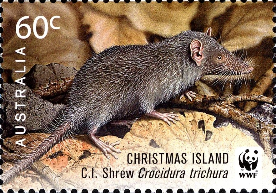 Znaczek pocztowy o wartości 60 centów z Australii przedstawiający ryjówkę z Wyspy Bożego Narodzenia na tle liści oraz logo WWF.