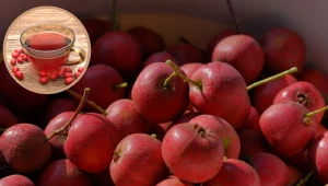 To najzdrowszy jesienny napar. Wzmacnia serce jak plaster i koi zszargane nerwy