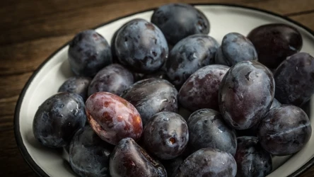 Śliwki można przechowywać w mące, aby dłużej zachowały świeżość