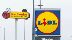Biedronka i Lidl z wysypem narzędzi i gadżetów. Kierowcy popędzą do sklepów