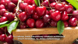 Czereśnie są nie tylko smaczne. Zawierają cenne składniki odżywcze
