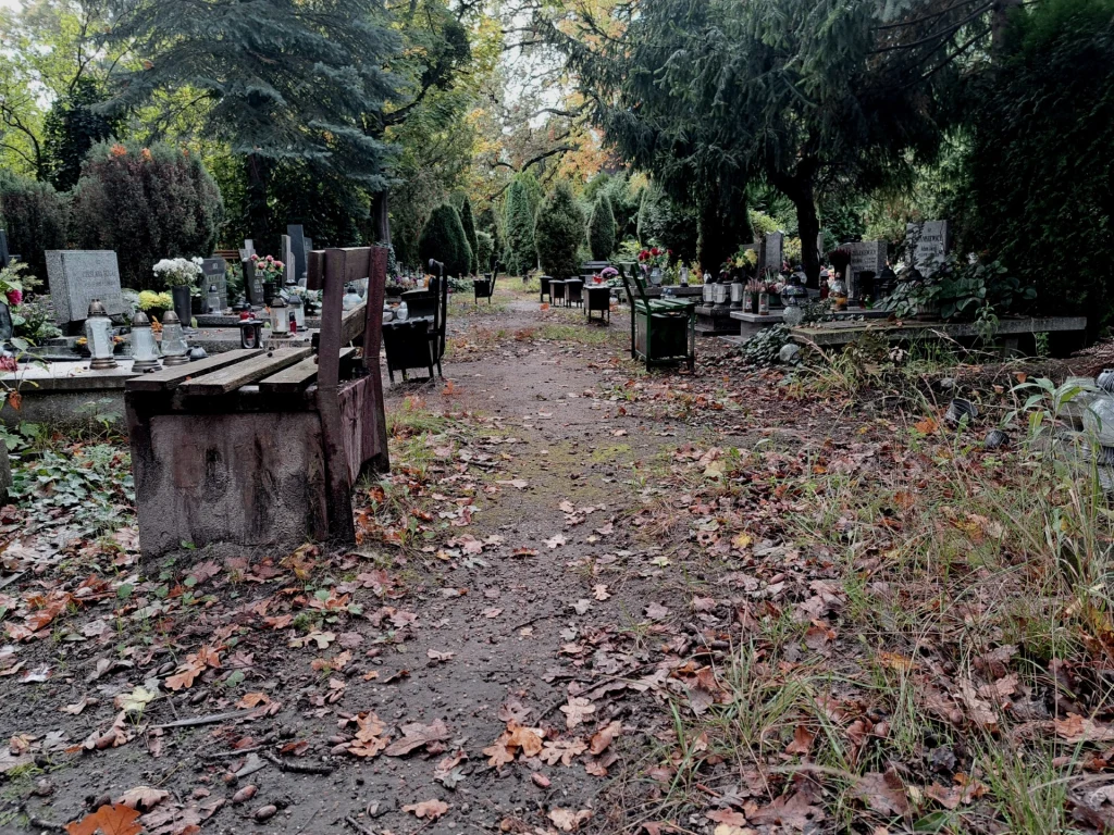 Cmentarz wg dawnych wierzeń jest miejscem, w którym stykają się dwa światy - zmarłych i żywych Wąska aleja prowadząca przez cmentarz otoczony gęstą roślinnością, liczne groby z nagrobkami, ławki, a na grobach świeże oraz stare kwiaty i znicze, drzewa w jesiennych barwach, opadłe liście pokrywają ziemię.