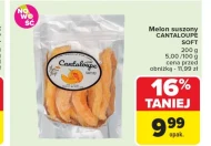 Melon Cantaloupe