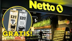 Oatly 1+1 gratis w Netto! Kultowe napoje owsiane taniej tylko przez kilka dni!