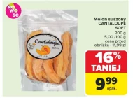 Melon Cantaloupe