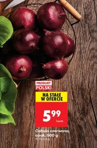 Червона цибуля Polski