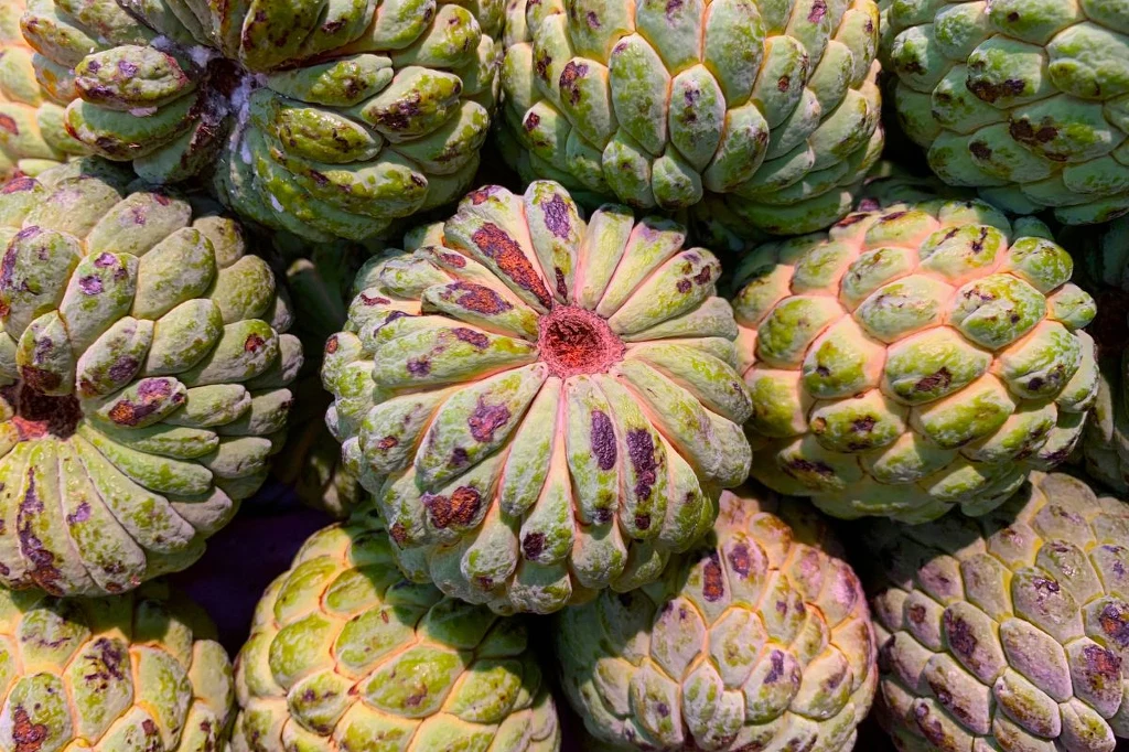 Wygląda jak karczoch, zmakuje jak truskawka i ananas