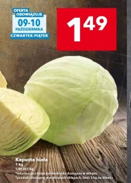 Білокачанна капуста
