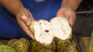Owoc o smaku kremu budyniowego staje się hitem. Nie nadążają z produkcją