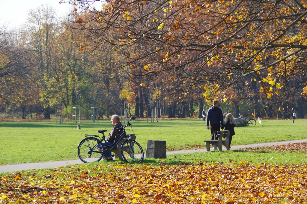 Starsza osoba siedząca na wózku inwalidzkim na ścieżce parkowej, w tle widoczna para spacerująca wśród jesiennych drzew, otoczenie pokryte opadłymi liśćmi, atmosfera spokojna i jesienna.