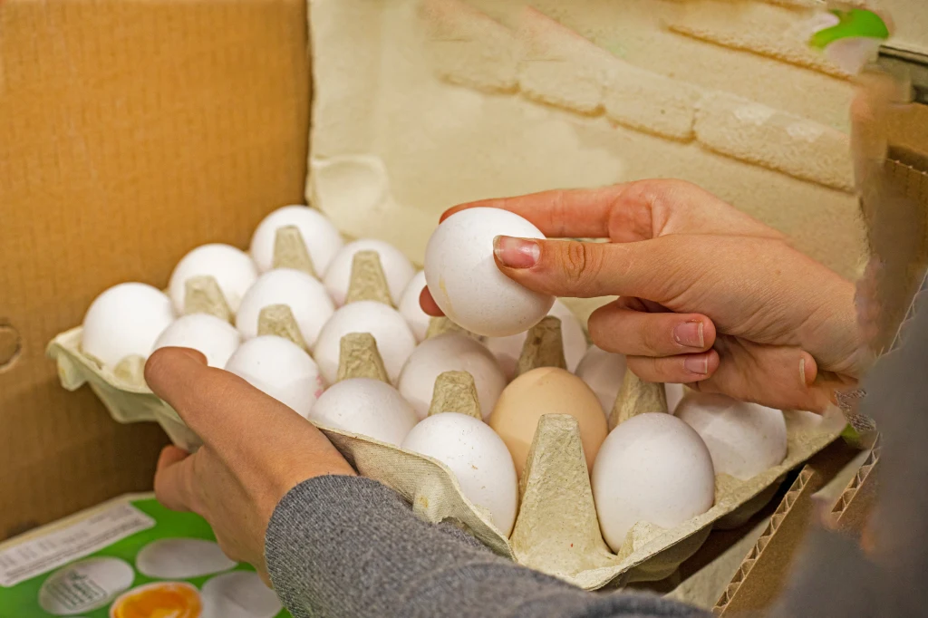 Co zrobić z opakowaniami po jajkach? Co zrobić z opakowaniami po jajkach?