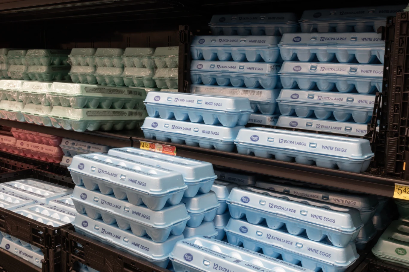 Rzędy opakowań z jajkami ułożone na sklepowych półkach, wyróżniające się niebieskimi i zielonymi opakowaniami, ustawionymi jedno na drugim.