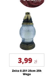Znicz E