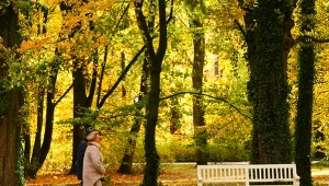 Naukowcy badali to 8 lat. Oto cechy spaceru, który naprawdę wydłuża życie