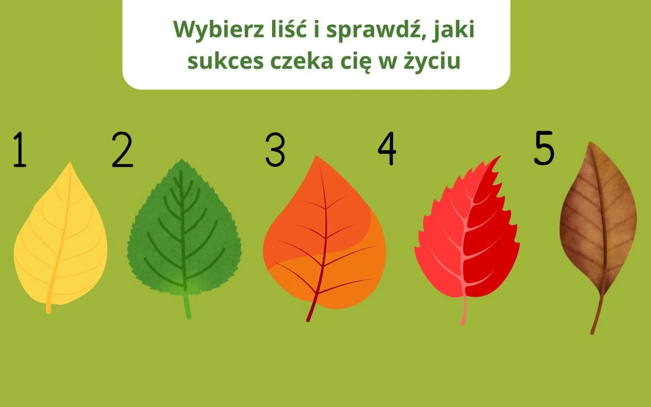 Co twoje wybory, mówią o przyszłości? Przekonaj się! Pięć kolorowych liści o różnych kształtach i barwach ułożonych w jednym rzędzie na zielonym tle, każdy oznaczony numerem od 1 do 5, nad nimi widoczny jest napis zachęcający do wyboru liścia aby sprawdzić swój sukces w życiu.