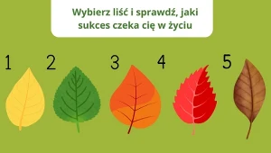 Test osobowości, który zdradzi, jaki osiągniesz w życiu sukces