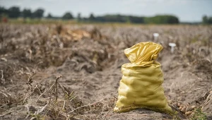 Zabrali właścicielowi 150 ton ziemniaków. Wszystko przez jedną plotkę