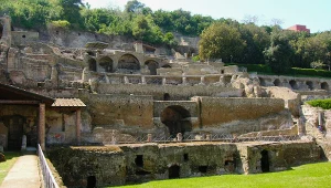 Drzewo rośnie tam w niezwykły sposób. Nikt nie wie, dlaczego tak się dzieje