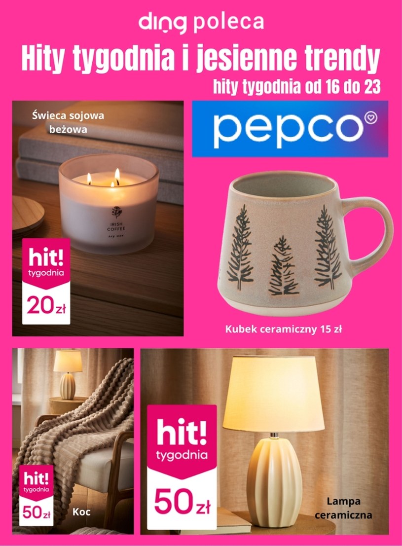 gazetki Pepco