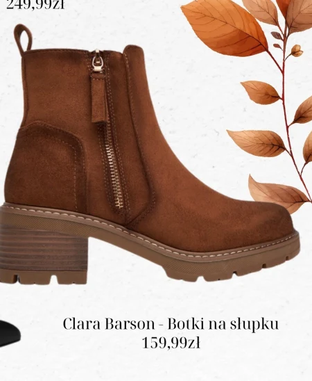 Чоботи Clara Barson
