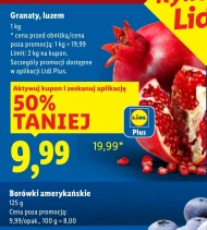 Granat Plus-Plus