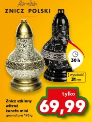 Znicz Polski