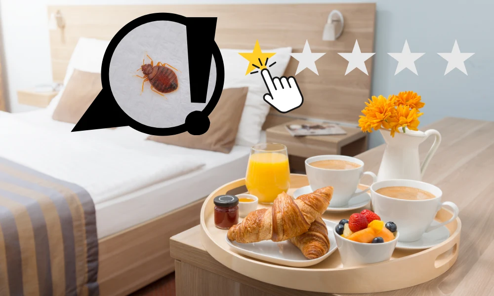 Wygrzewanie pluskiew torby grzewcze