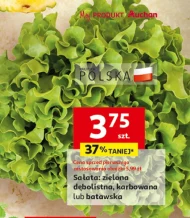Sałata
