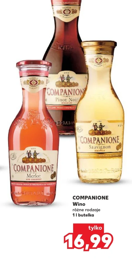 Wino Companione