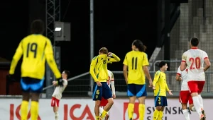 Szwedzi kompletnie zdruzgotani po blamażu z Polakami. "Upokorzenie"