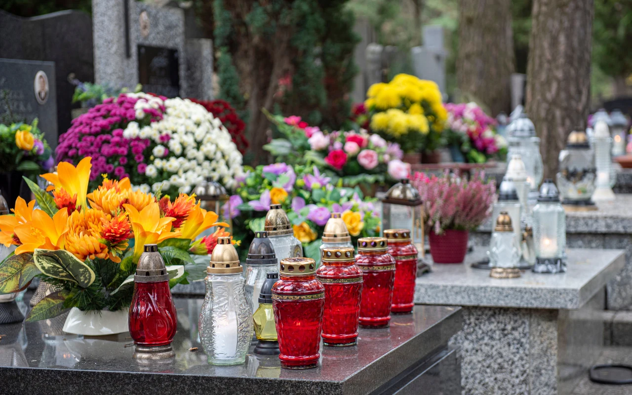 Jakie kwiaty są dobre na cmentarz? Ta roślina jest dekoracyjna i przy tym odporna na zmienne warunki atmosferyczne