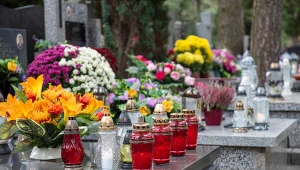 Od kilku lat wybieram zamiast chryzantem. Niestraszne przymrozki czy wiatr 
